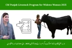 CM Punjab Livestock Program for Widows Women 2025