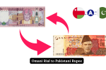 Omani Rial (OMR) to Pakistani Rupee (PKR): Latest Exchange Updated Rate