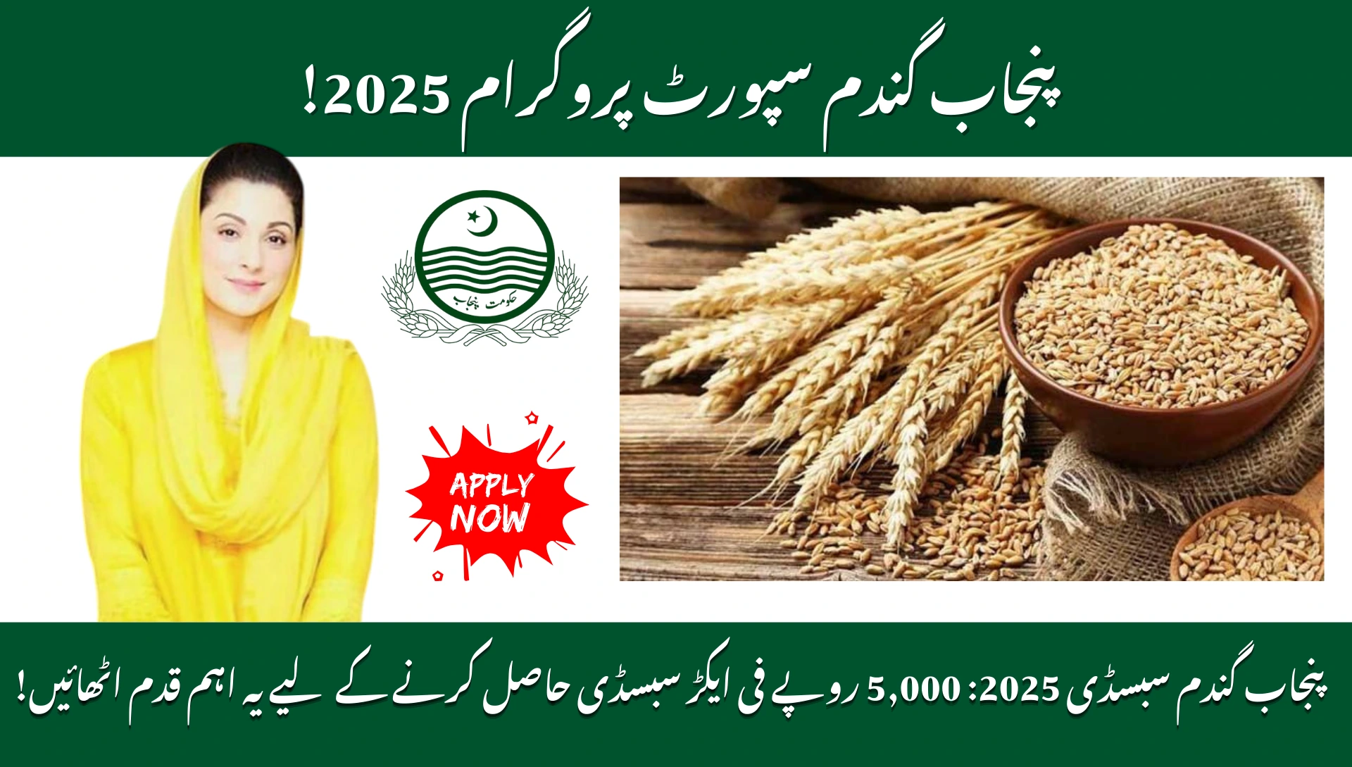 Punjab Wheat Support Program