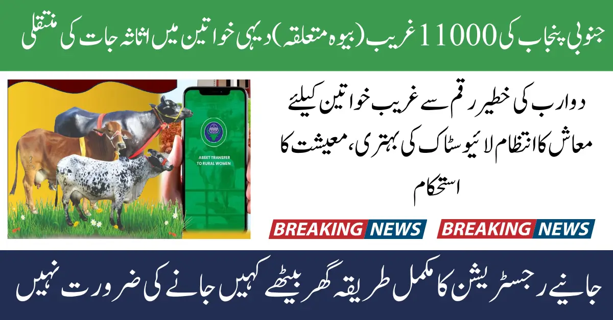 CM Punjab Free Livestock Program Registration Again Start for Phase 2: Know Full Details