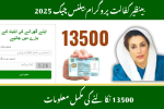 BISP Check Balance Online by CNIC 2025 and Withdrawal 13500
