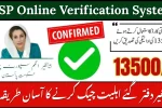 BISP Online Verification System