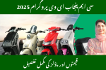 CM Punjab Electric Vehicles Programme – Latest Models & Prices 2025