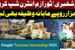 CM Punjab Tourism Internship 2025