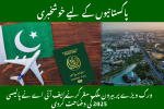 Good News for Pakistanis Traveling Abroad on Work Visas