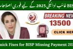 Quick Fixes for BISP Missing Payment 2025 –